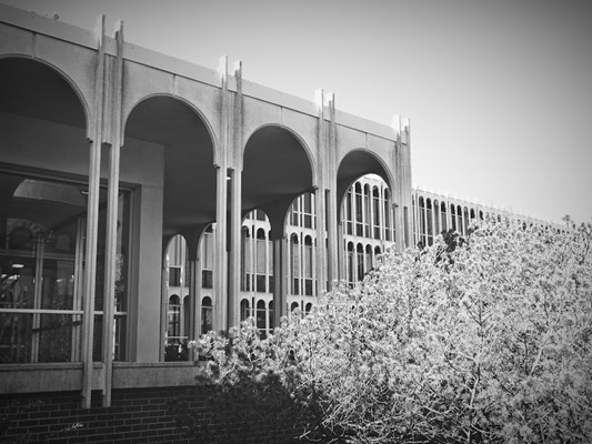 Carleton College