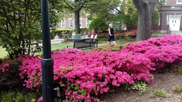 Stevens Institute of Technology