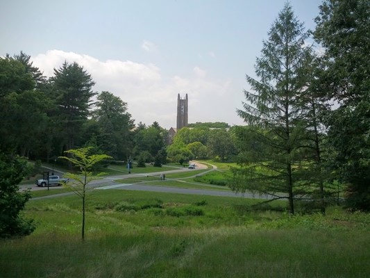 Wellesley College