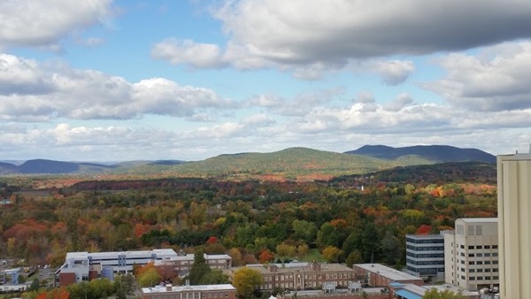 University of Massachusetts-Amherst