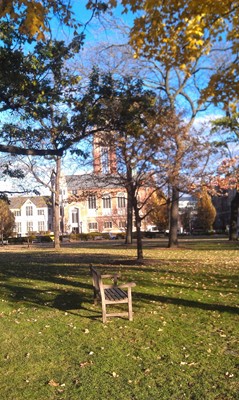 The University of Chicago