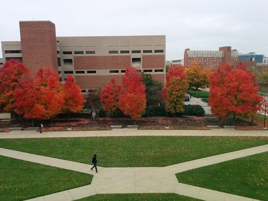 Indiana University - Purdue University Indianapolis