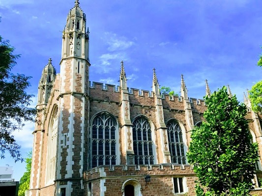 Washington University in St. Louis