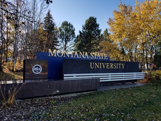 Montana State University