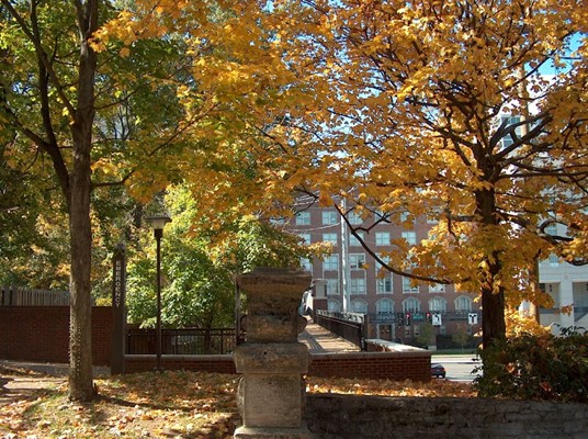 Vanderbilt University