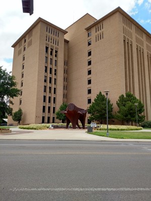 Texas Tech University