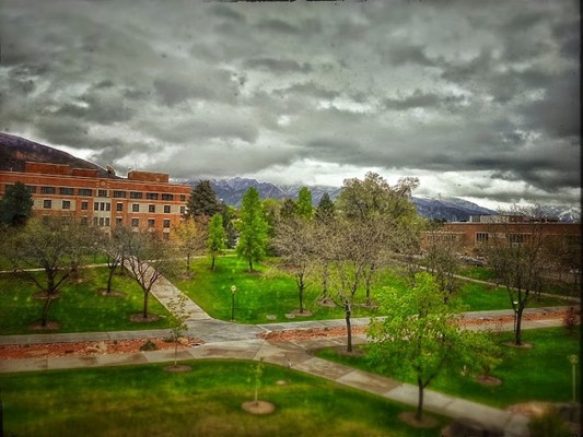 The University of Utah