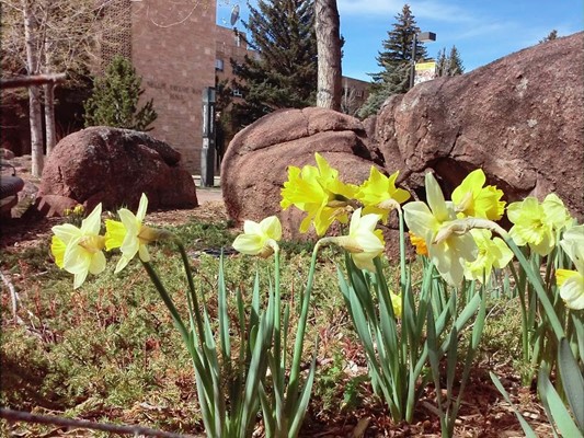 University of Wyoming