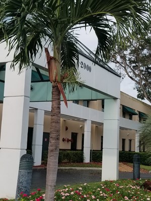 City College Fort Lauderdale