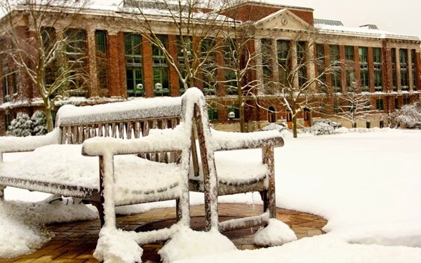 SUNY College of Environmental Science and Forestry