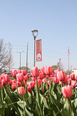 Chippewa Valley Technical College