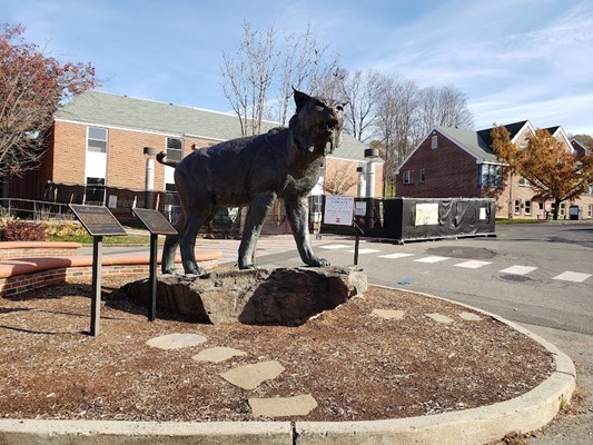 Quinnipiac University